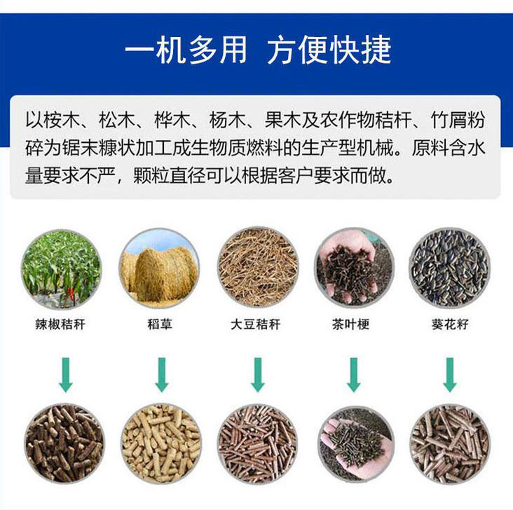 shengwuzhi2 (1).jpg